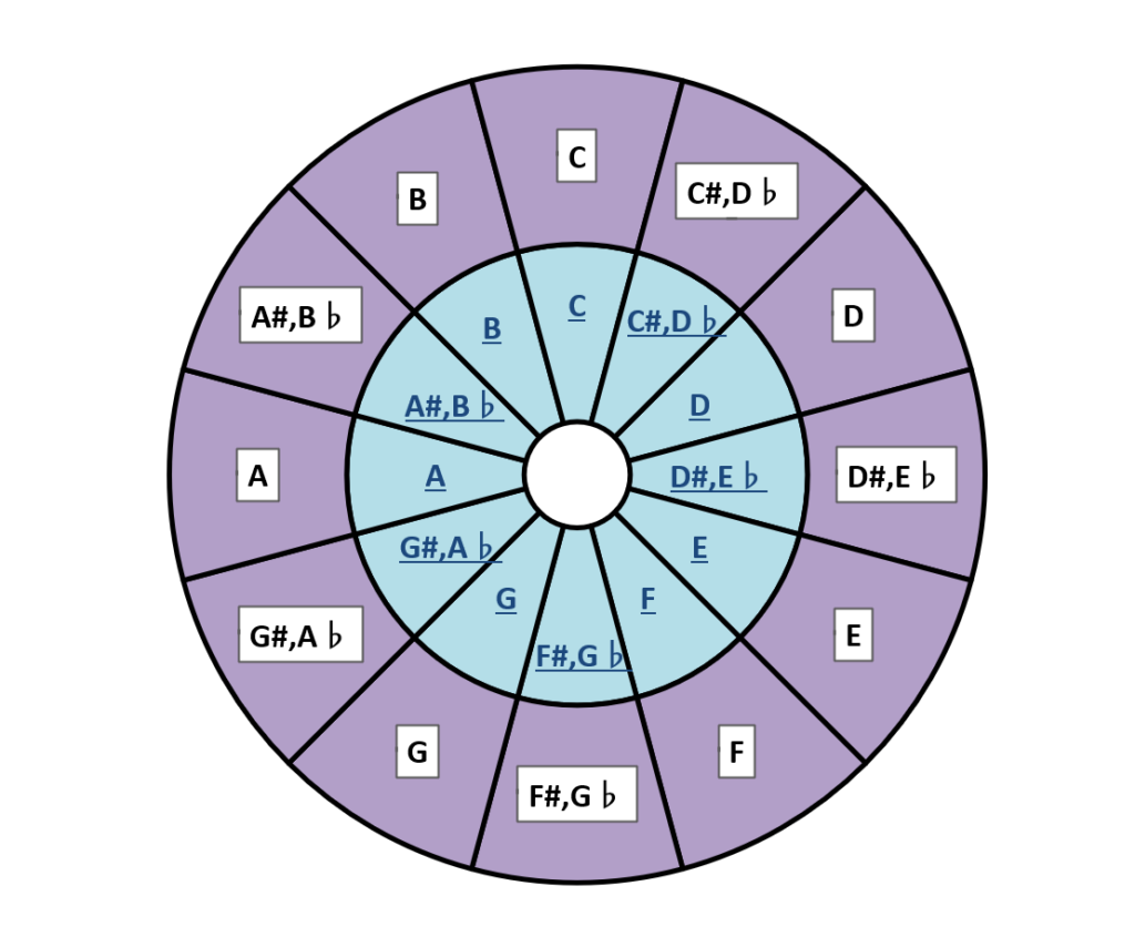 capotasto-circle-chart-3