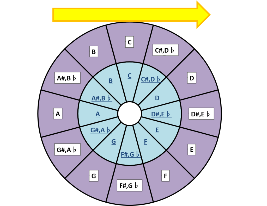 capotasto-circle-chart-moved2